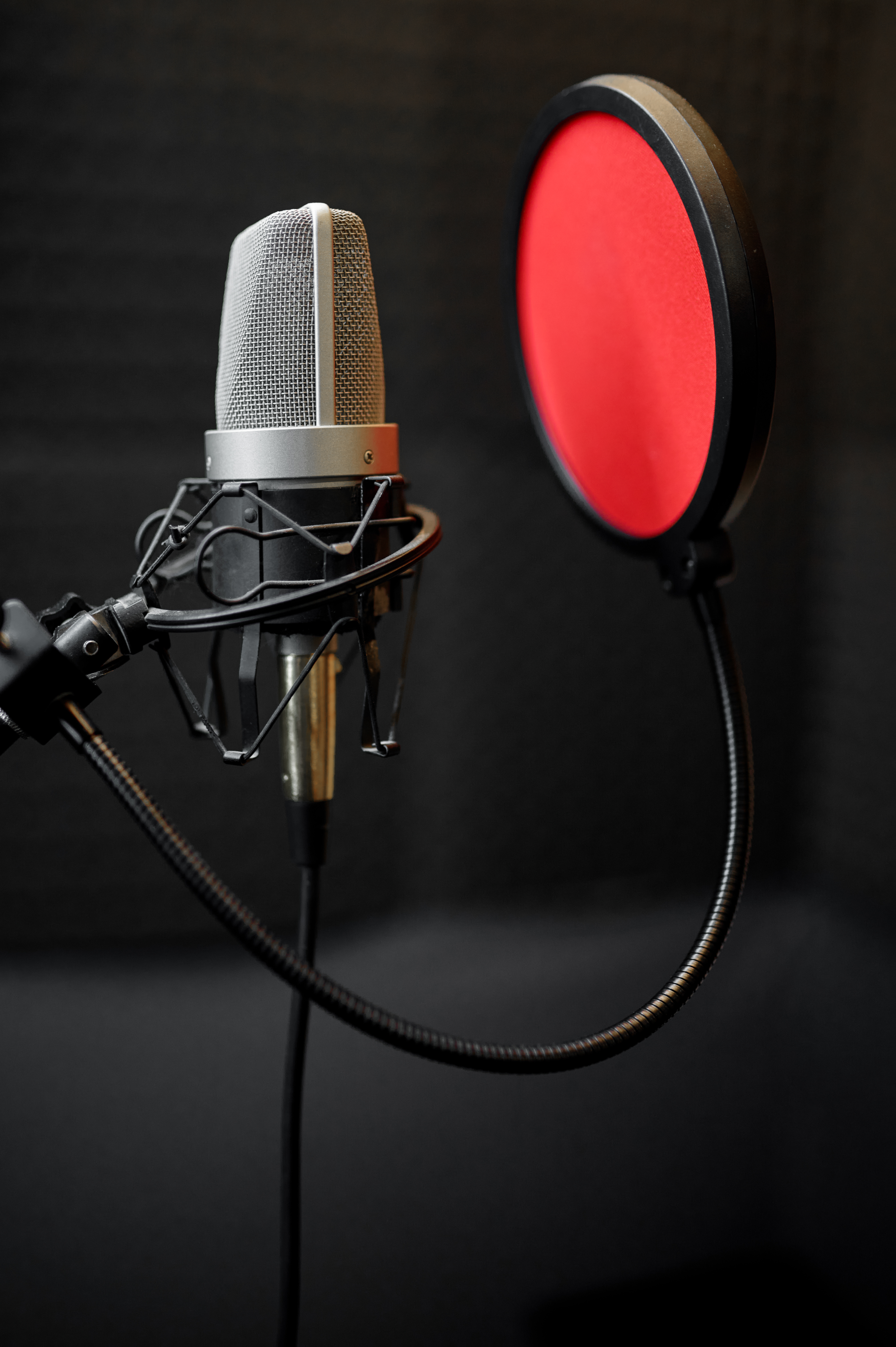 Voiceovers & Dubbing